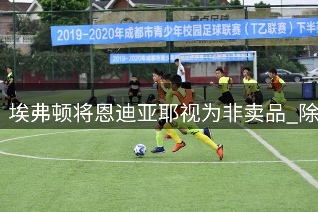埃弗顿将恩迪亚耶视为非卖品 除非收到天价报价